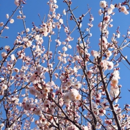 Thumbnail of post image 065