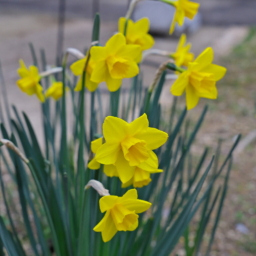 Thumbnail of post image 162