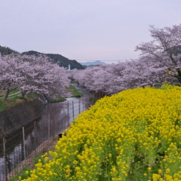 Thumbnail of post image 037