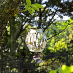 Thumbnail of post image 038