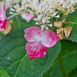 Thumbnail of post image 173