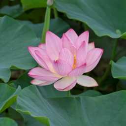 Thumbnail of post image 129