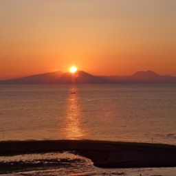 Thumbnail of post image 083