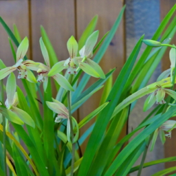 Thumbnail of post image 065