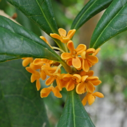Thumbnail of post image 057