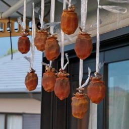 Thumbnail of post image 012