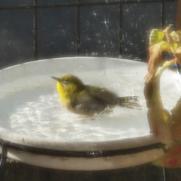 Thumbnail of post image 113