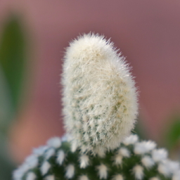 Thumbnail of post image 128