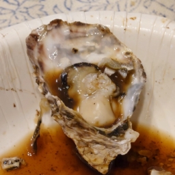 Thumbnail of post image 063
