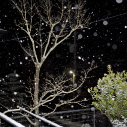 Thumbnail of post image 041