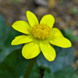 Thumbnail of post image 192