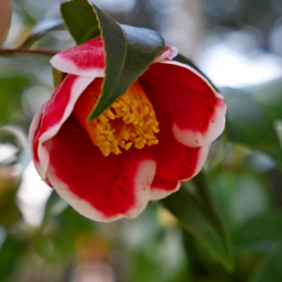 Thumbnail of post image 001