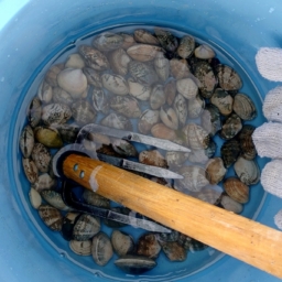 Thumbnail of post image 142