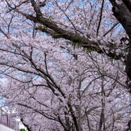 Thumbnail of post image 115