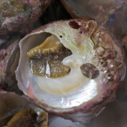 Thumbnail of post image 181