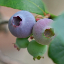 Thumbnail of post image 092