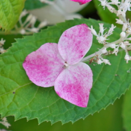 Thumbnail of post image 154