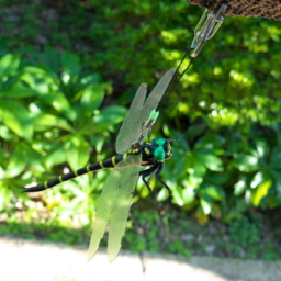Thumbnail of post image 142