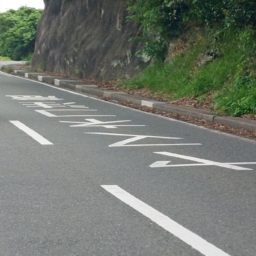 Thumbnail of post image 045