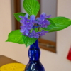 Thumbnail of post image 004