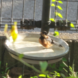 Thumbnail of post image 162