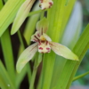Thumbnail of post image 036
