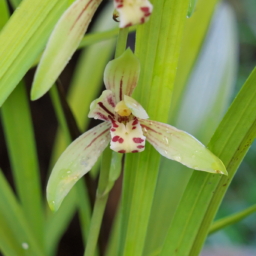Thumbnail of post image 011