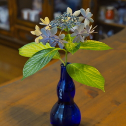 Thumbnail of post image 180