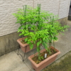 Thumbnail of post image 084