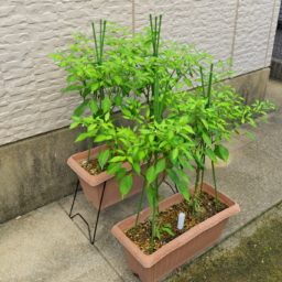 Thumbnail of post image 017