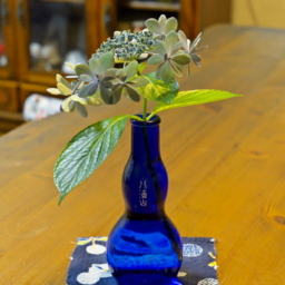 Thumbnail of post image 105