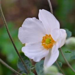 Thumbnail of post image 125