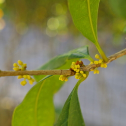 Thumbnail of post image 123
