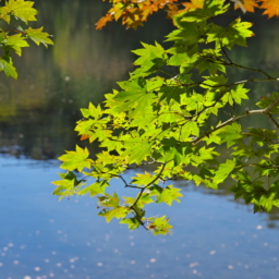 Thumbnail of post image 023