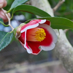 Thumbnail of post image 057