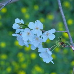 Thumbnail of post image 156