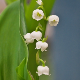 Thumbnail of post image 119