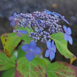 Thumbnail of post image 142