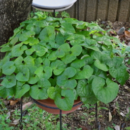 Thumbnail of post image 152
