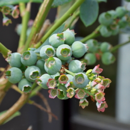 Thumbnail of post image 089