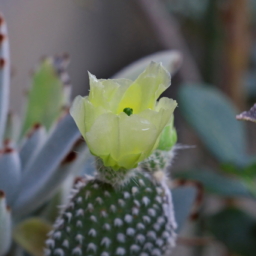 Thumbnail of post image 078