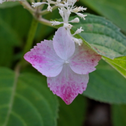 Thumbnail of post image 156