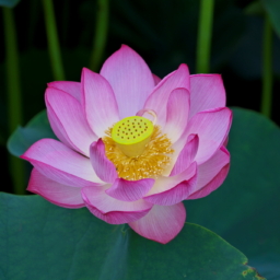 Thumbnail of post image 144