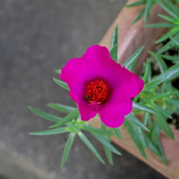 Thumbnail of post image 123
