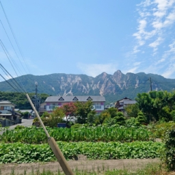 Thumbnail of post image 059