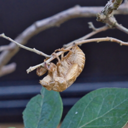 Thumbnail of post image 130