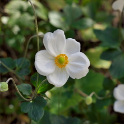 Thumbnail of post image 062